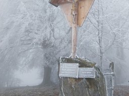 Hochsteinberg-05